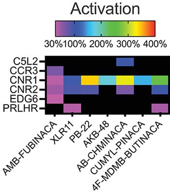 Off-target pharmacological profiling of synthetic cannabinoid receptor agonists including AMB-FUBINACA, CUMYL-PINACA, PB-22, and XLR-11